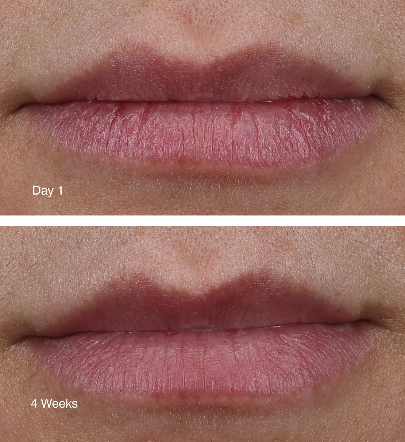 rhode peptide lip treatment "vanilla"